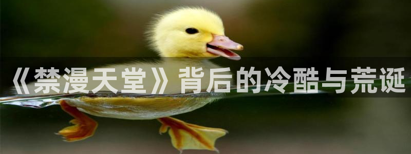 age专注动漫的门户网站：《禁漫天堂》背后的冷酷与荒诞