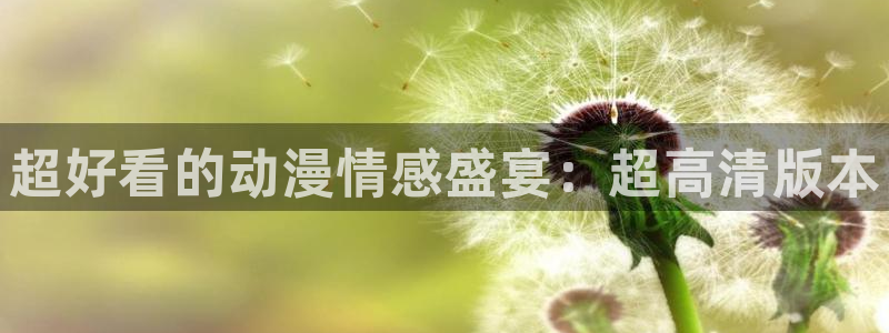 禁漫天堂樱花：超好看的动漫情感盛宴：超高清版本