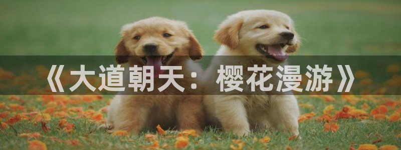 managereader漫画官网入口：《大道朝天：樱花漫游》
