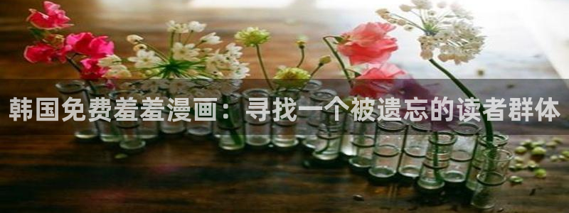 kakaopage韩漫官网：韩国免费羞羞漫画：寻找一个被遗忘的读者群体