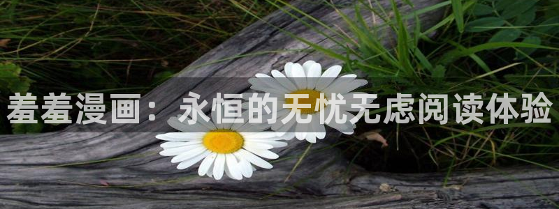 禁漫天堂：羞羞漫画：永恒的无忧无虑阅读体验
