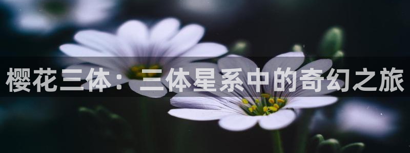 禁漫天堂专注动漫的门户网站：樱花三体：三体星系中的奇幻之旅