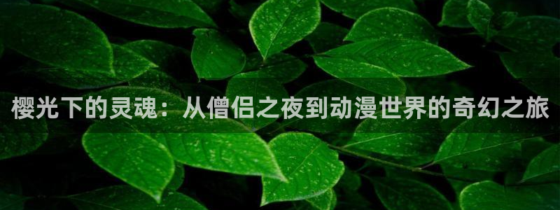 colamanage漫画：樱光下的灵魂：从僧侣之夜到动漫世界的奇幻之旅