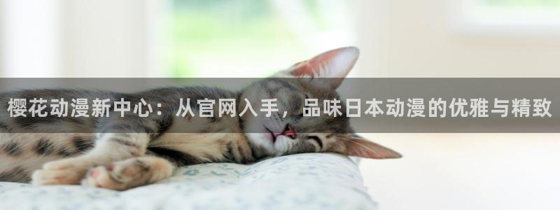 禁漫天堂官网入口老版本：樱花动漫新中心：从官网入手，品味日本动漫的优雅与精致