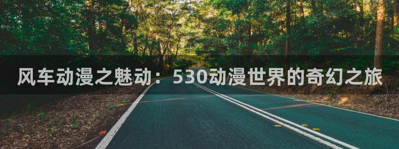在线动画动漫下载禁漫天堂：风车动漫之魅动：530动漫世界的奇幻之旅