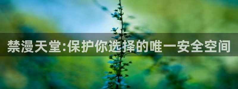 managereader漫画官网入口：禁漫天堂:保护你选择的唯一安全空间