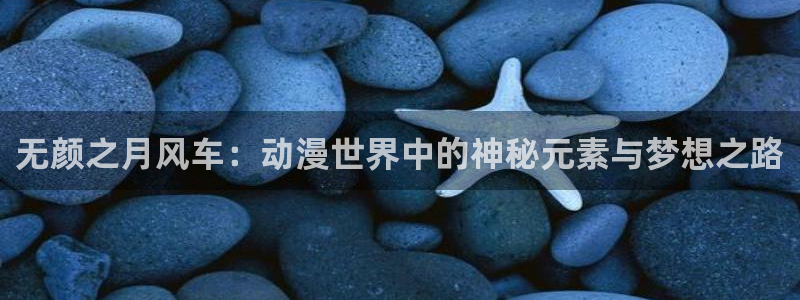 禁漫天堂：无颜之月风车：动漫世界中的神秘元素与梦想之路