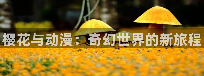 韩国漫画平台kakaopage：樱花与动漫：奇幻世界的新旅程