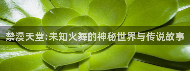 colomanage漫画官网：禁漫天堂:未知火舞的神秘世界与传说故事