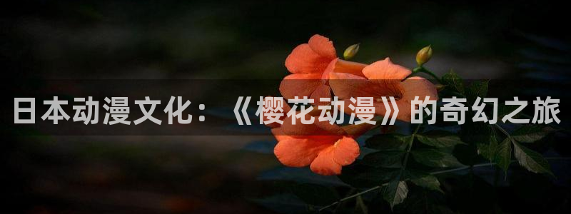 禁漫天堂网：日本动漫文化：《樱花动漫》的奇幻之旅