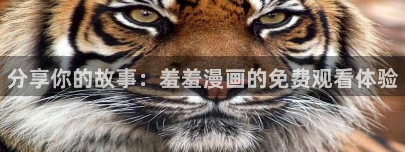 禁漫天堂网：分享你的故事：羞羞漫画的免费观看体验