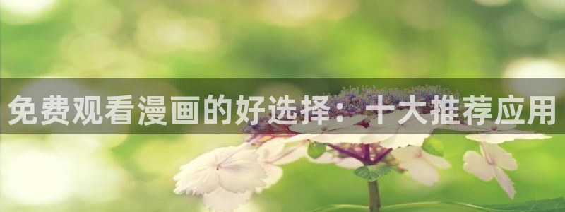 禁漫天堂官网樱花动漫：免费观看漫画的好选择：十大推荐应用